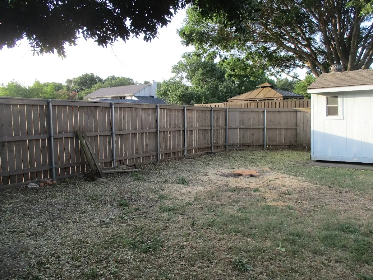 Cleared yard after professional tree removal in Staples