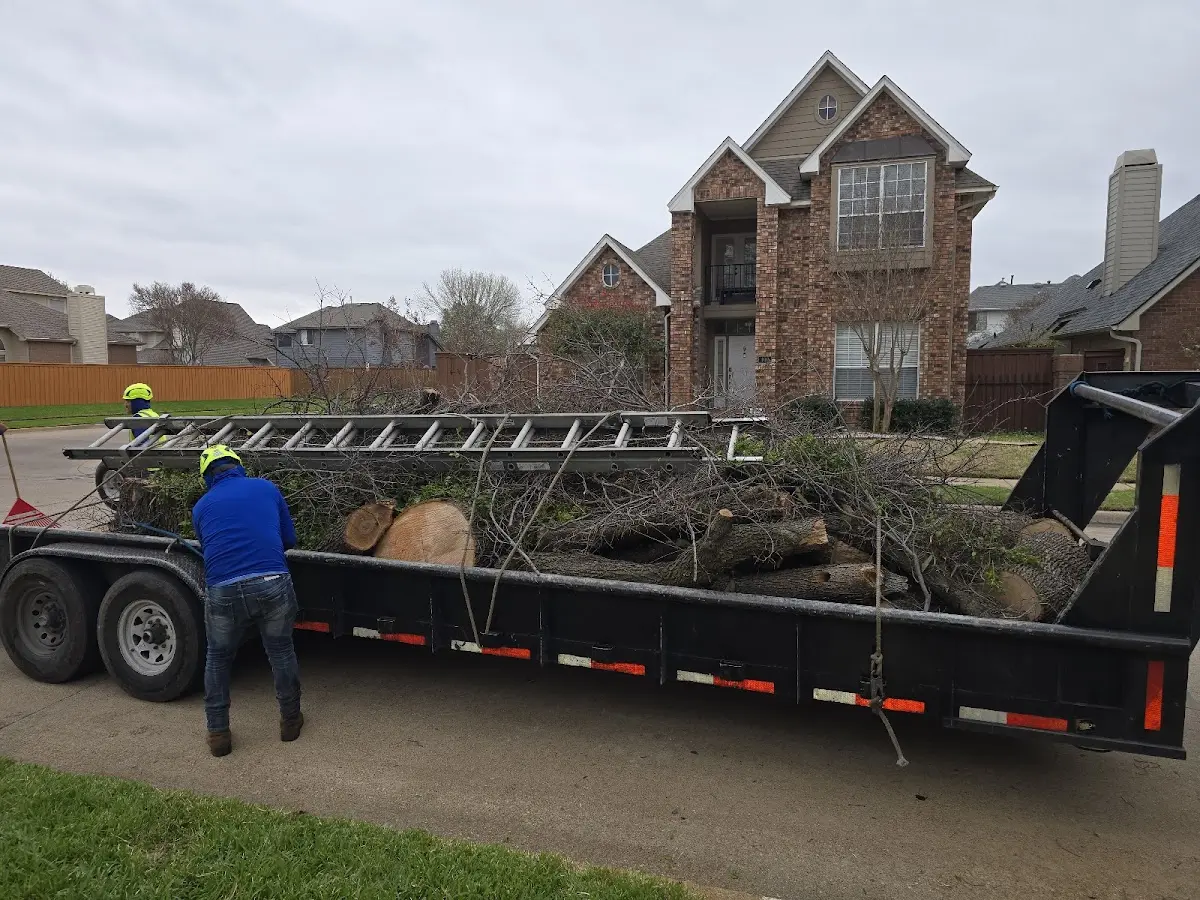 Expert Lot Clearing with proper safety equipment in Staples